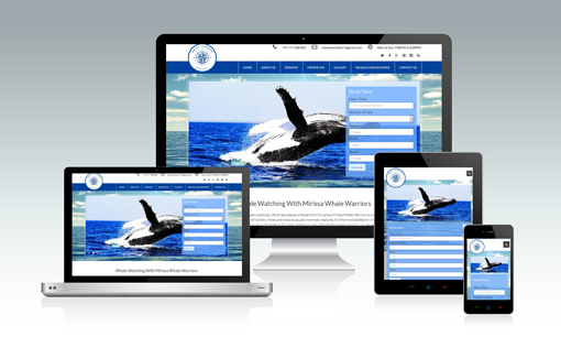 www.mirissawhalewarriors.com